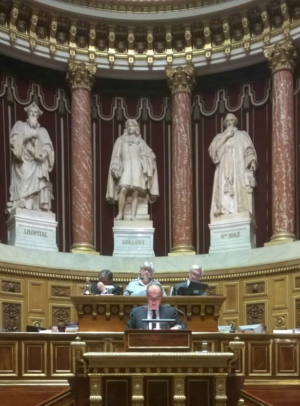 Vincent Capo-Canellas - Sénat - nov 2014